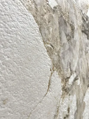 Emigres Samoa Natural Blanco Detalle gres járólap 60x120 cm