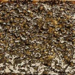 Tubadzin Goldgreen MIX fényes dekorcsempe 7,2x22 cm