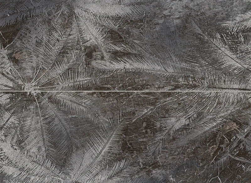 Tubadzin Sedona Palms matt-fényes dekorcsempe (2 elemes) 65,8x89,8 cm